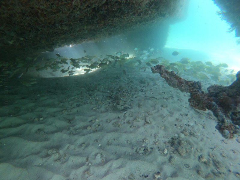 Banc sous l'épave à Marie Galante